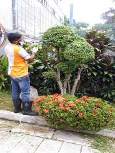 commercial cleaning for public spaces