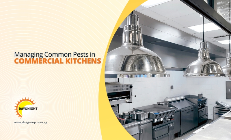 Commercial Kitchen Pest Control