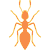 ants
