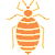 bed bugs