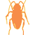 cockroachesl